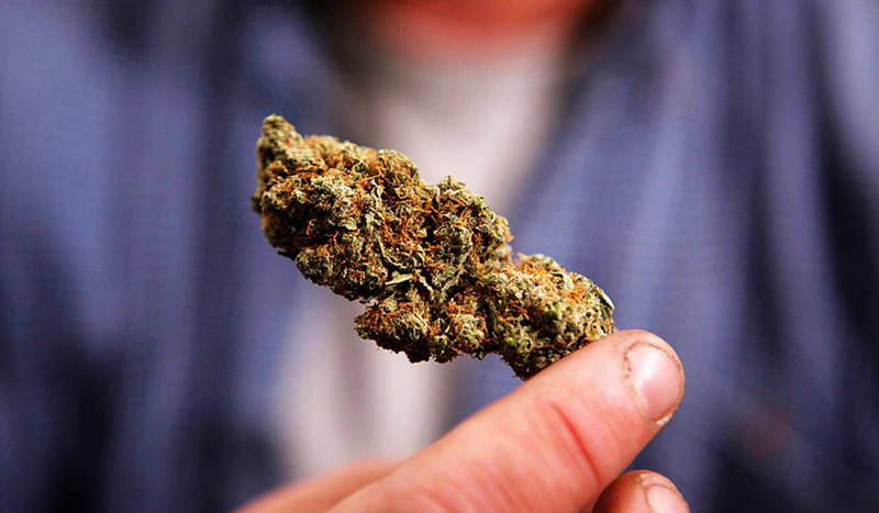 研究表明：大麻可能有效治疗癌症